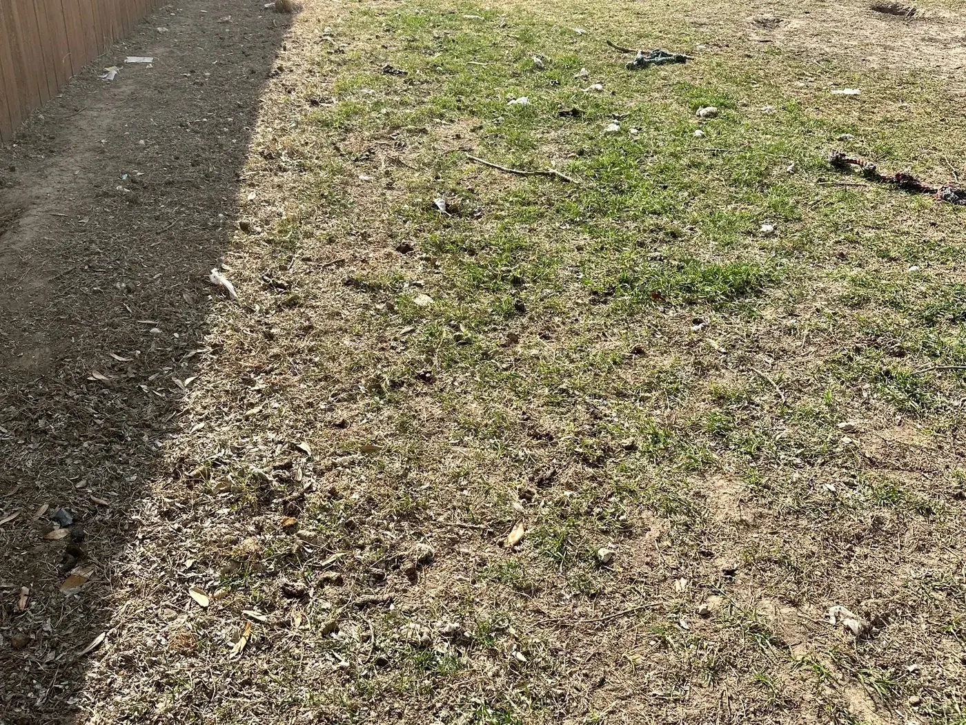 North Texas yard ready for a one-time Rhino Scoop reset cleanup