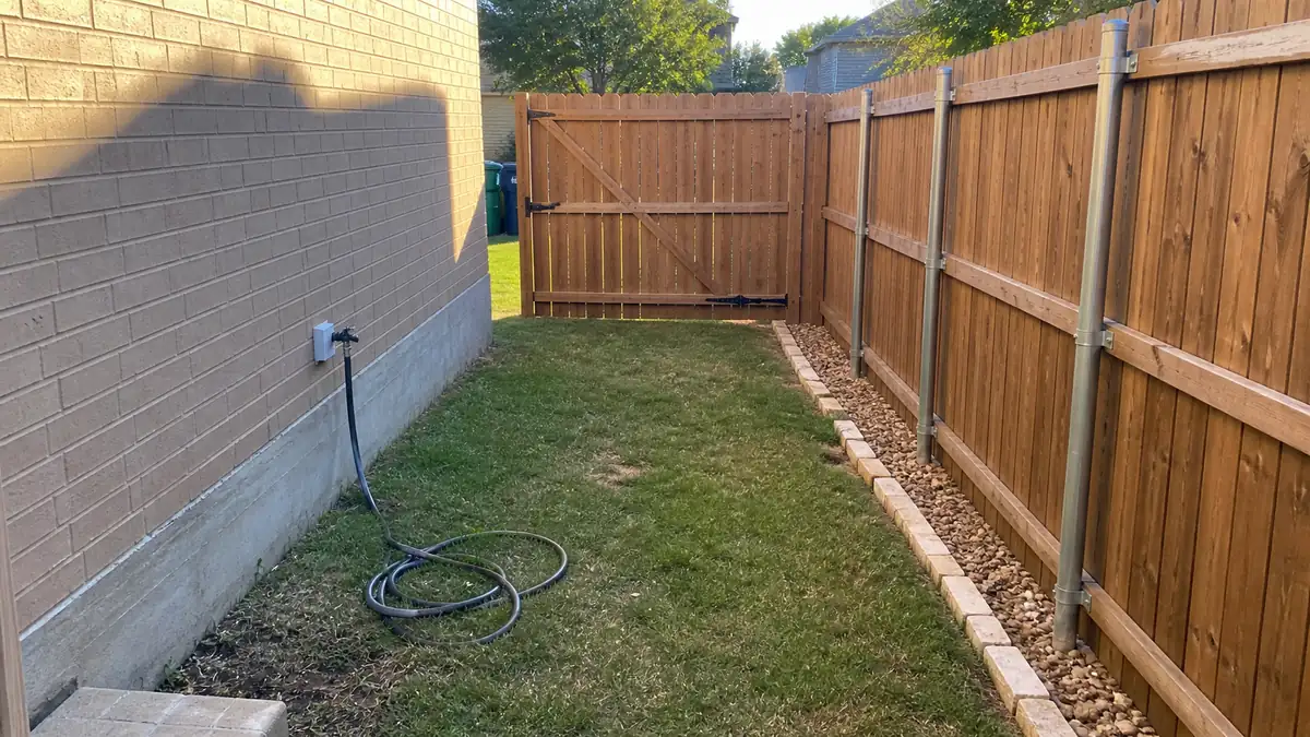 Dog watching from a North Texas yard gate