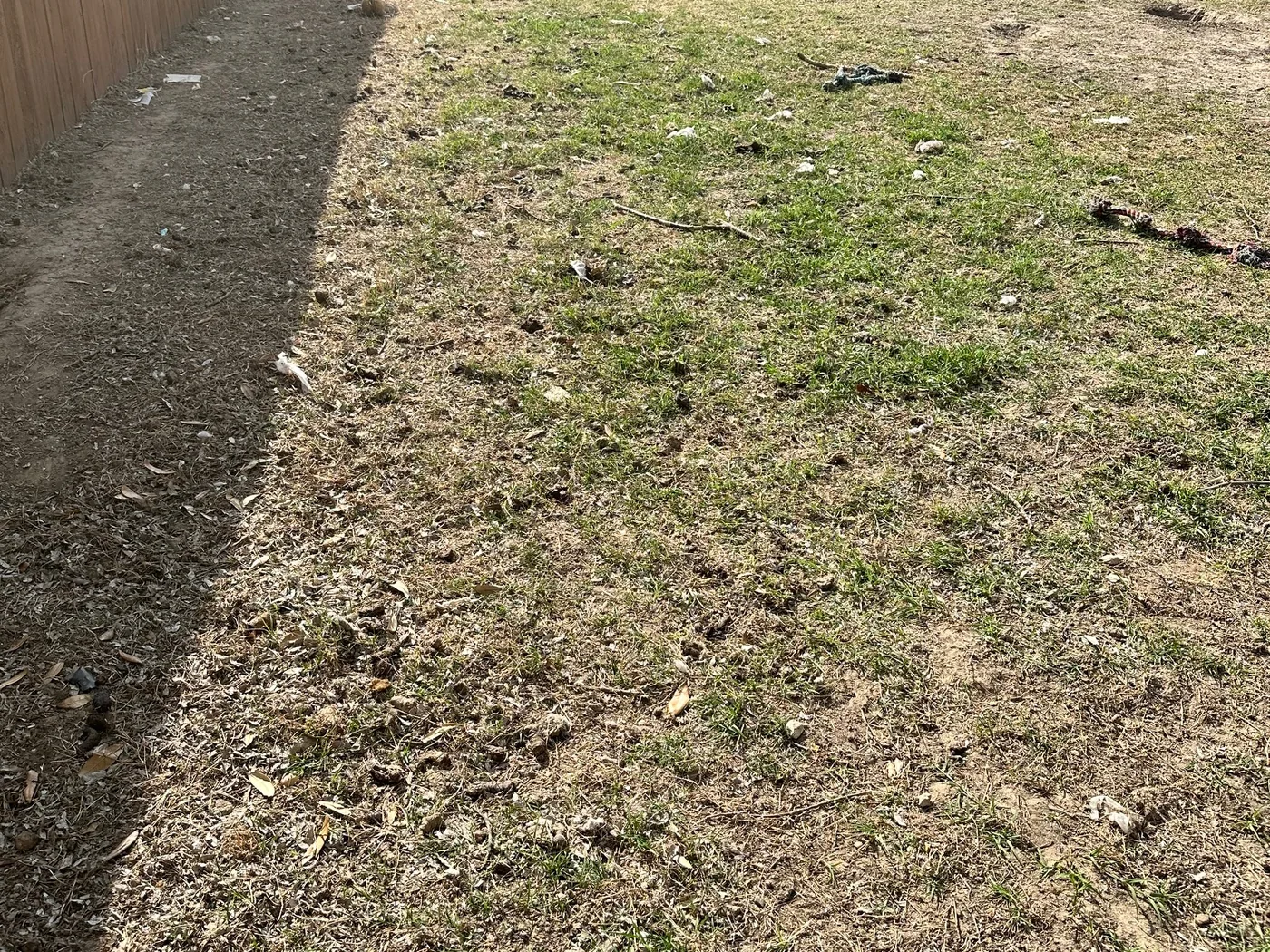 North Texas yard ready for a one-time Rhino Scoop reset cleanup